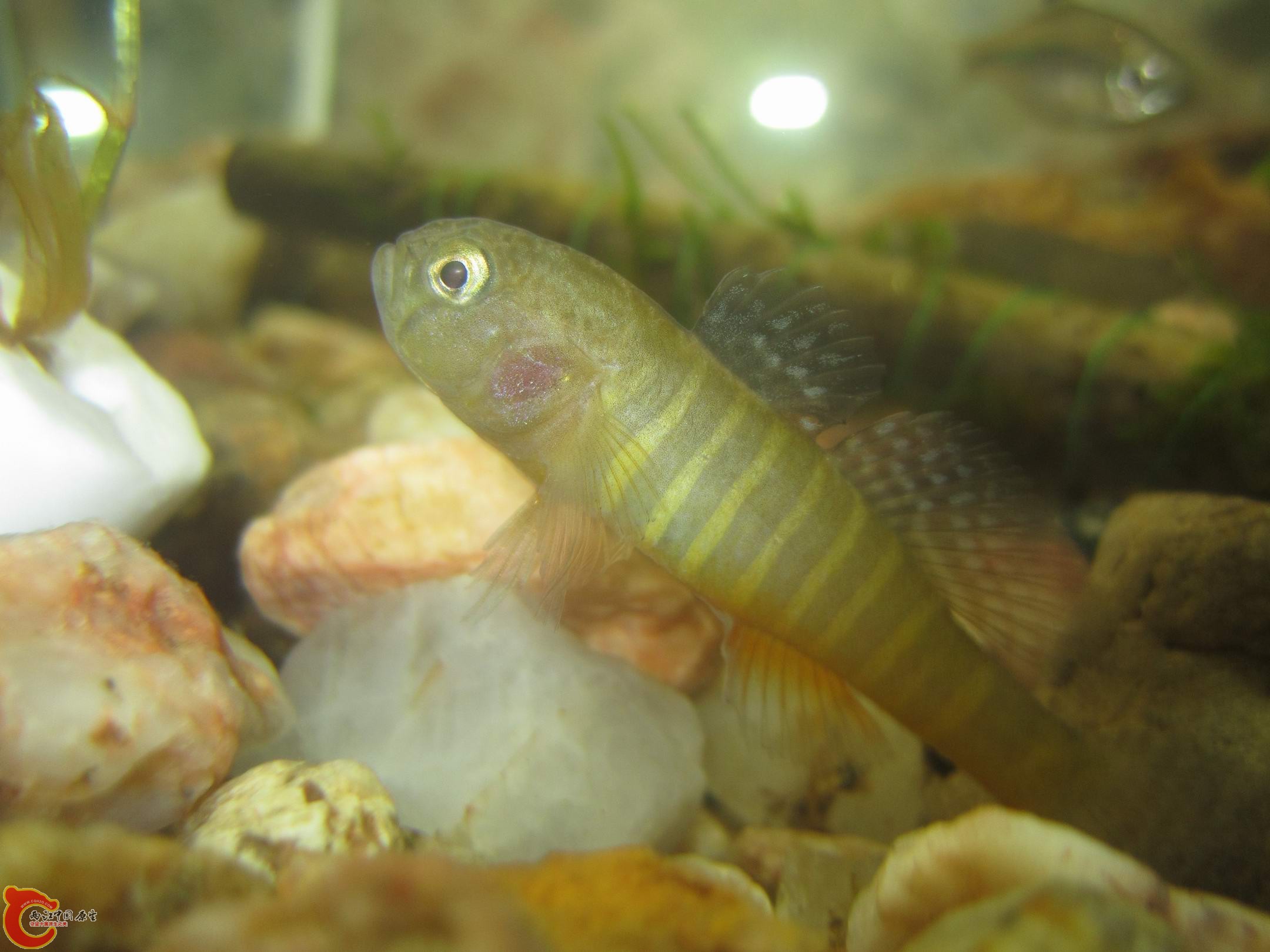 调整大小 IMG_3663.jpg