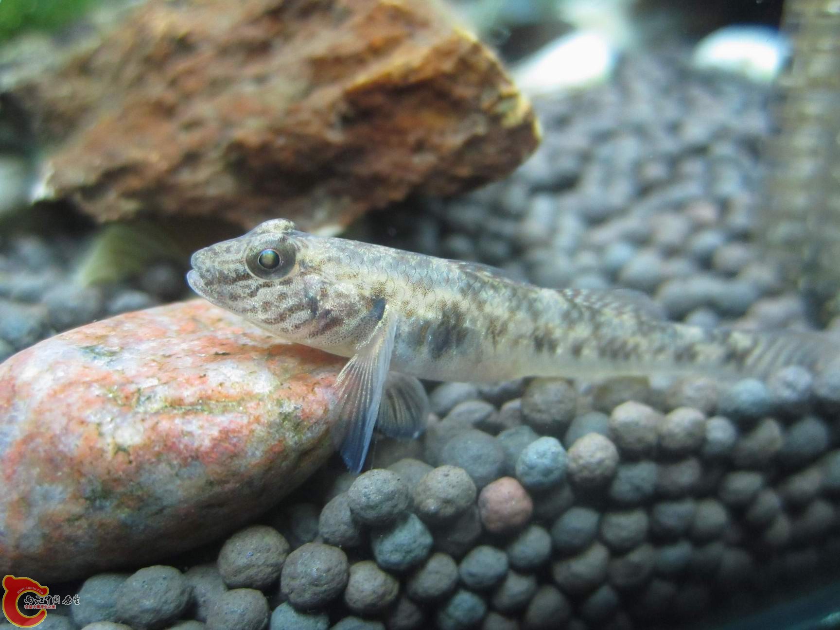 调整大小 调整大小 IMG_3602.jpg