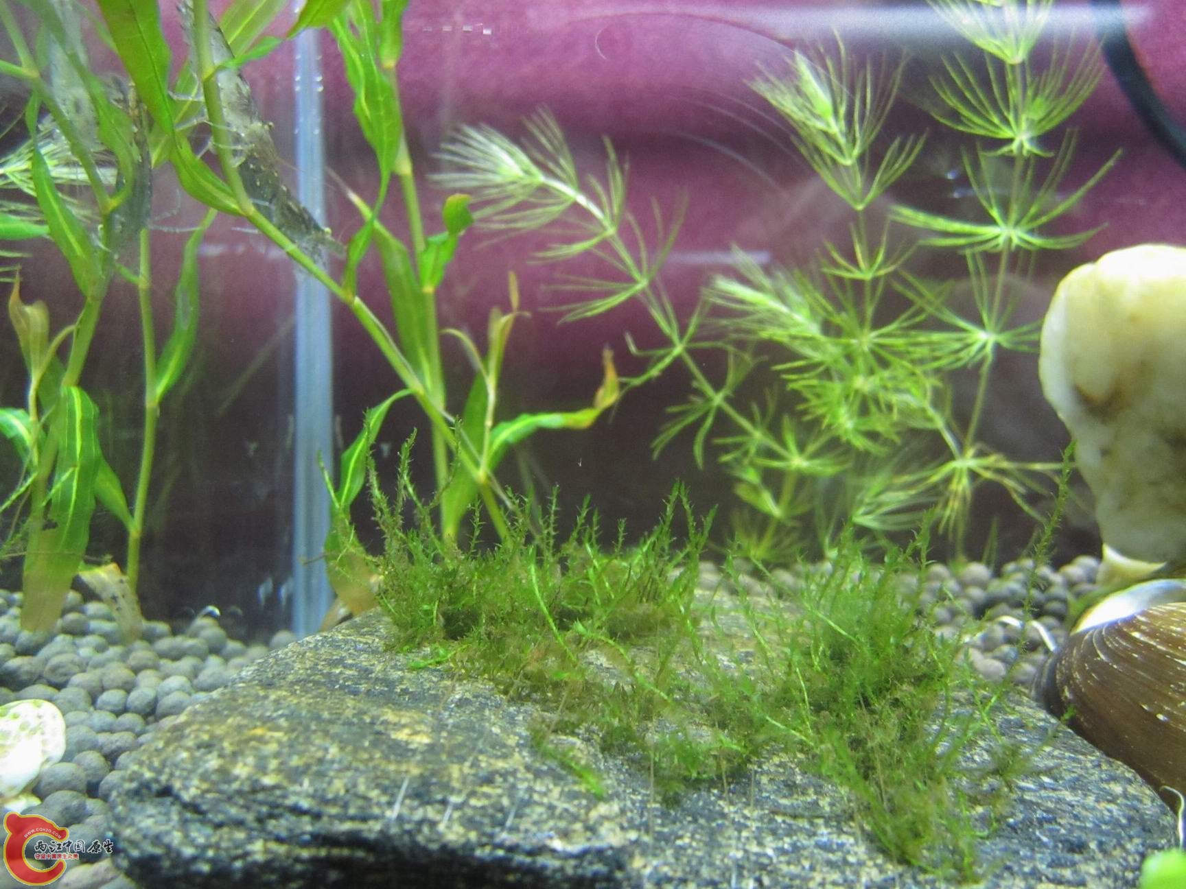 调整大小 调整大小 IMG_3605.jpg