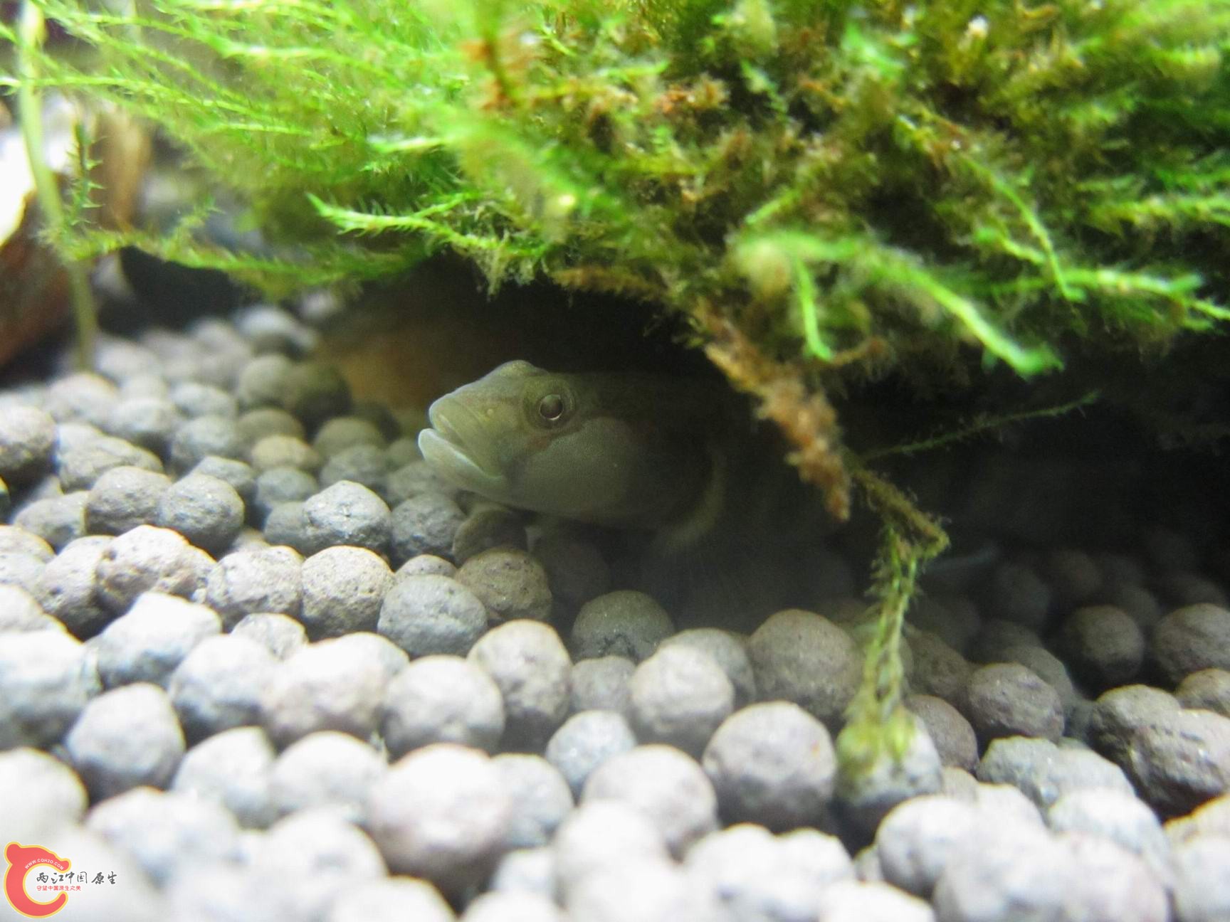 调整大小 调整大小 IMG_3607.jpg