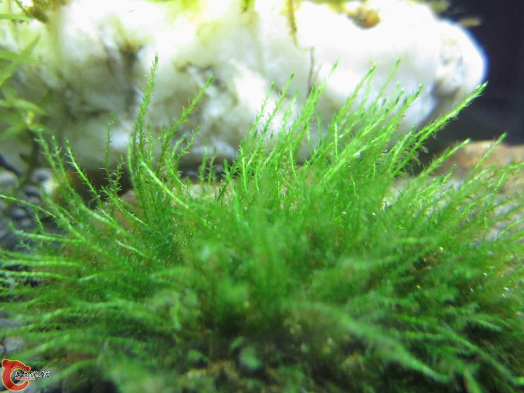 调整大小 调整大小 IMG_3608.jpg