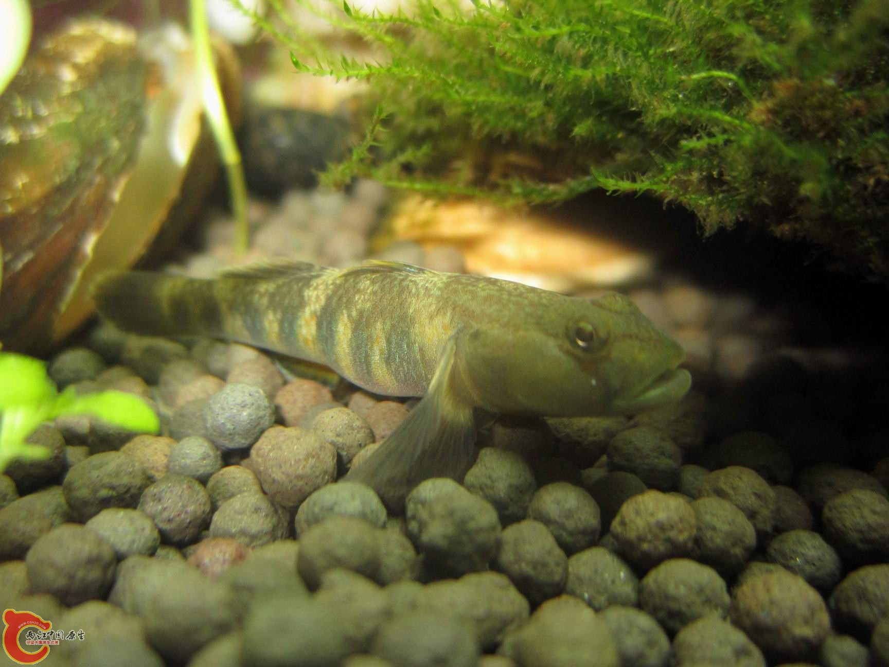 调整大小 调整大小 IMG_3611.jpg