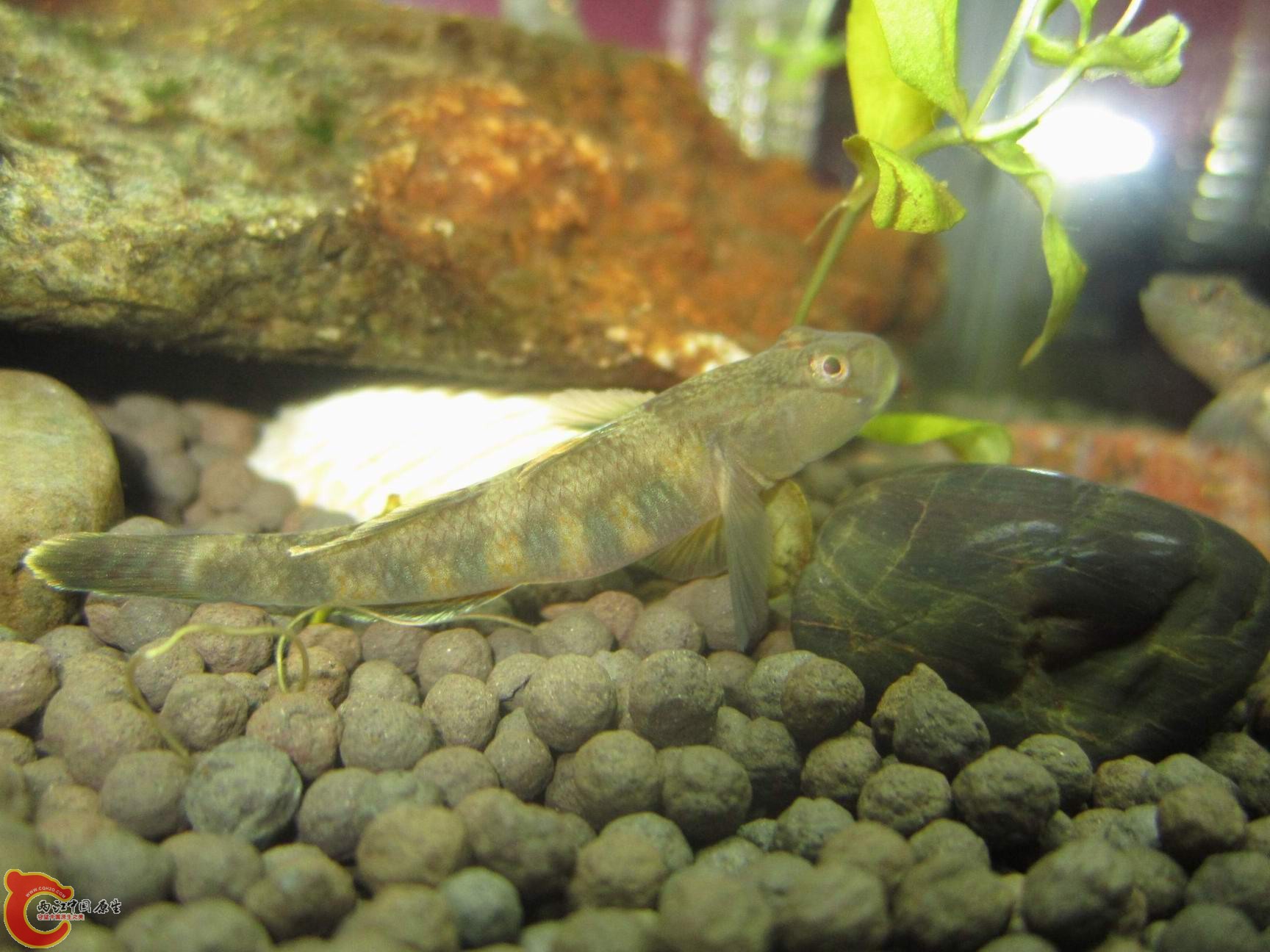 调整大小 调整大小 IMG_3612.jpg