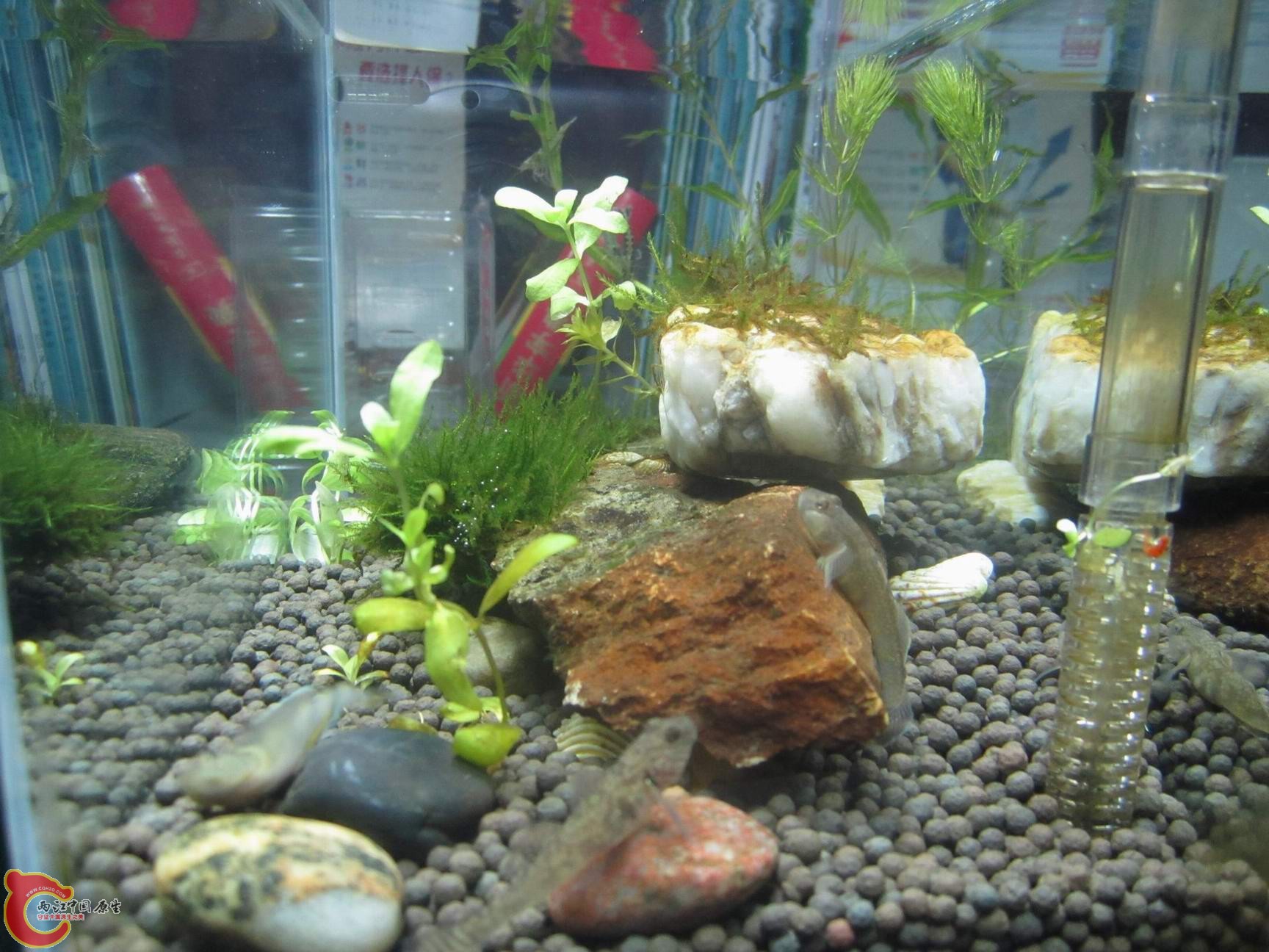 调整大小 调整大小 IMG_3615.jpg