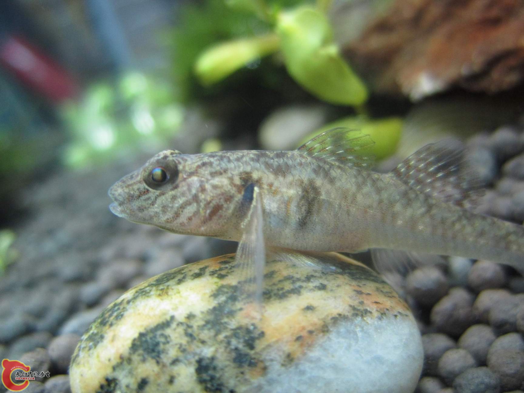 调整大小 调整大小 IMG_3618.jpg