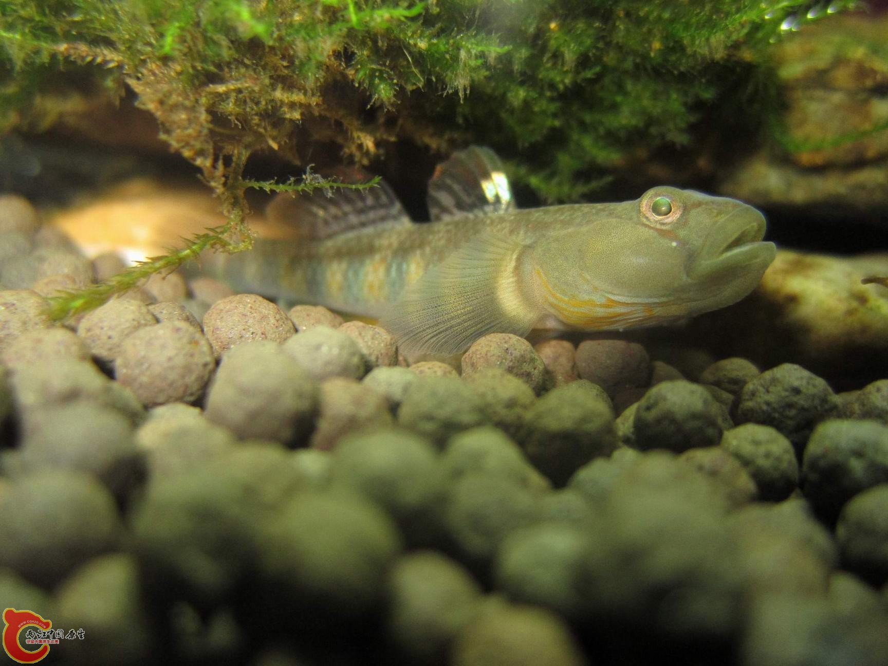 调整大小 调整大小 IMG_3635.jpg