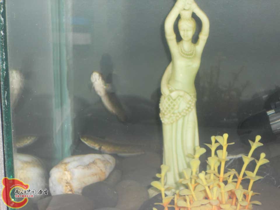 DSCN2501.jpg