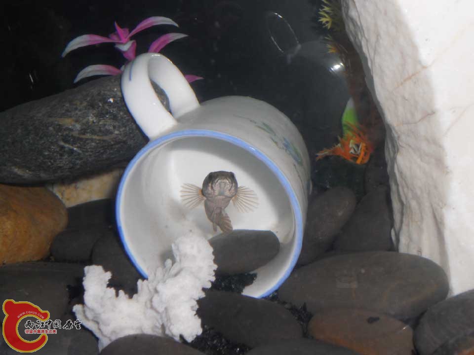 DSCN2514.jpg