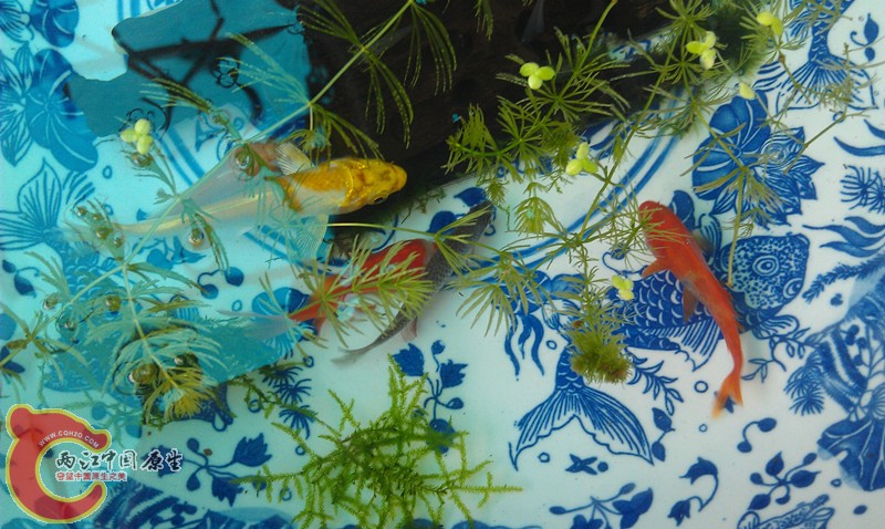 IMAG0414_副本.jpg