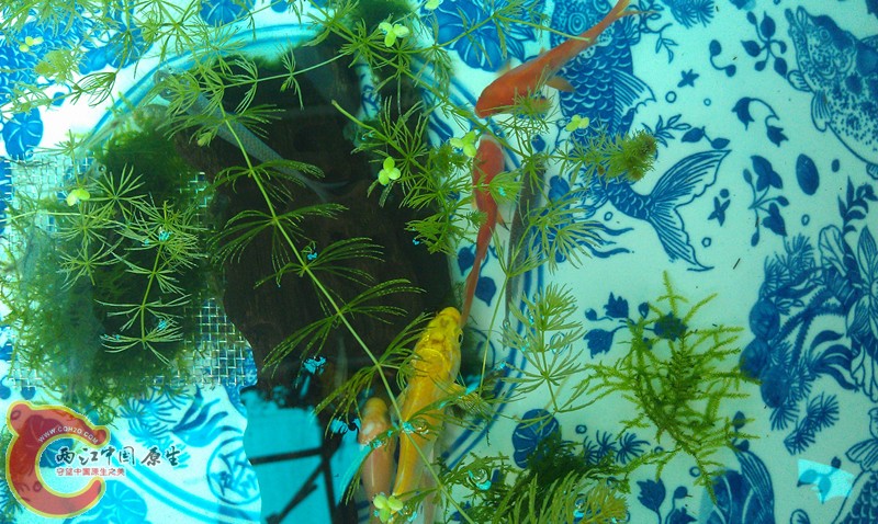 IMAG0415_副本.jpg