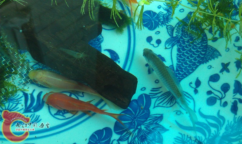 IMAG0416_副本.jpg