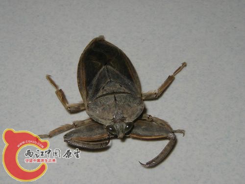 旋转 照片575.jpg