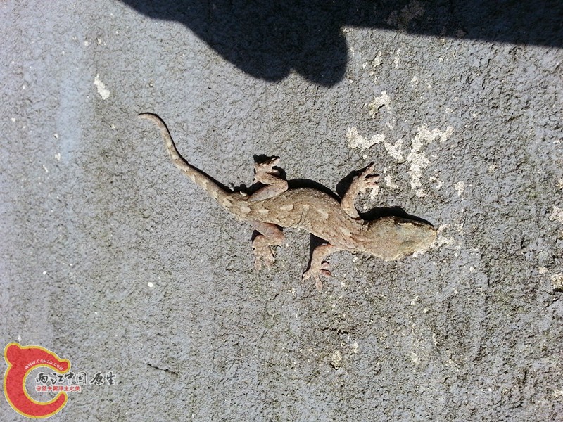 20130430_160306_副本.jpg