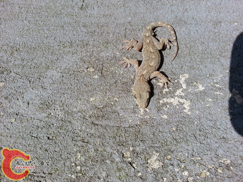 20130430_160249_副本.jpg