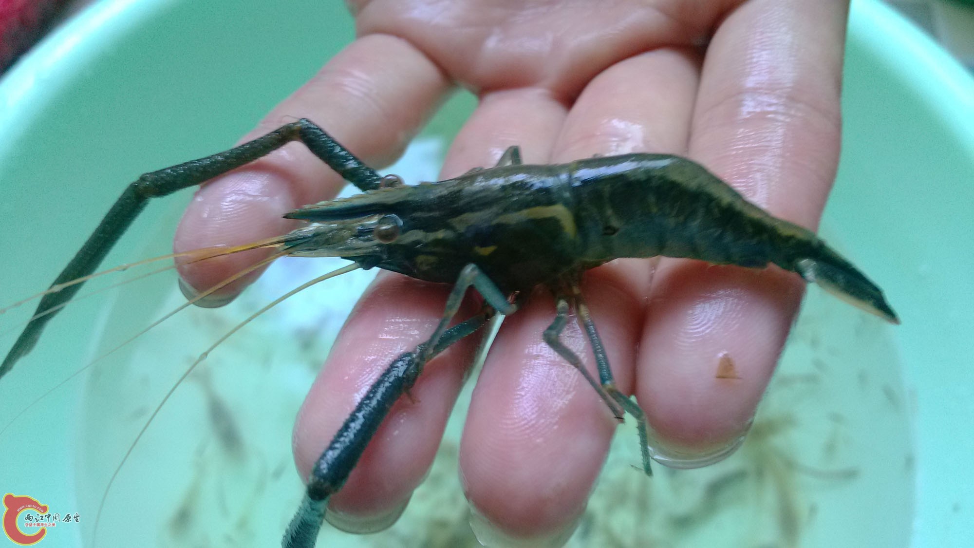 这个霸气了，有木有