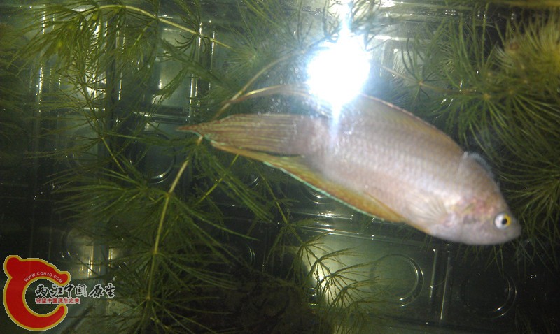 IMAG0574_副本.jpg