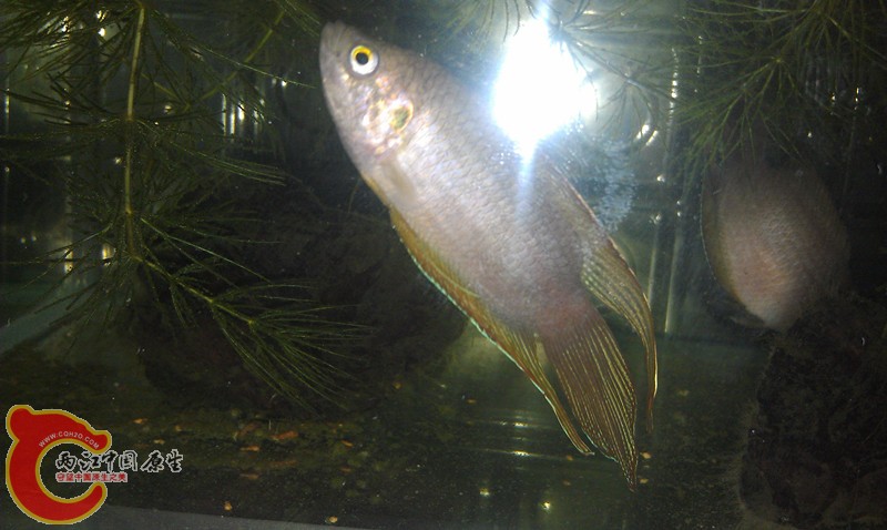 IMAG0572_副本.jpg