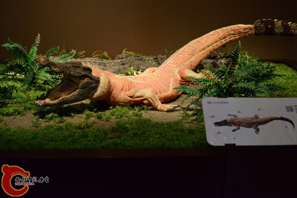 DSC_3654.jpg