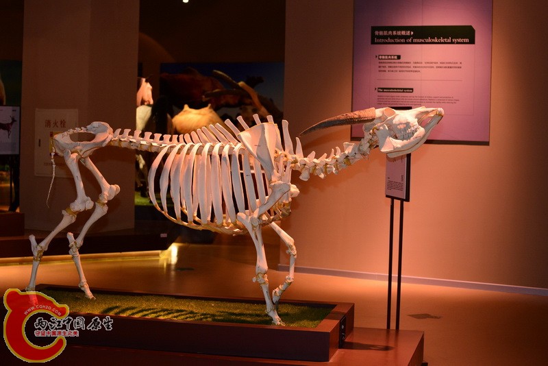 DSC_3621.jpg