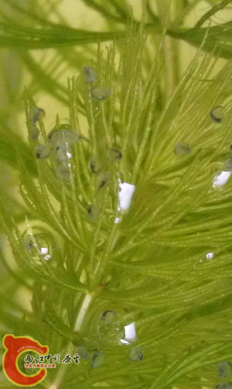 IMAG0582_副本.jpg