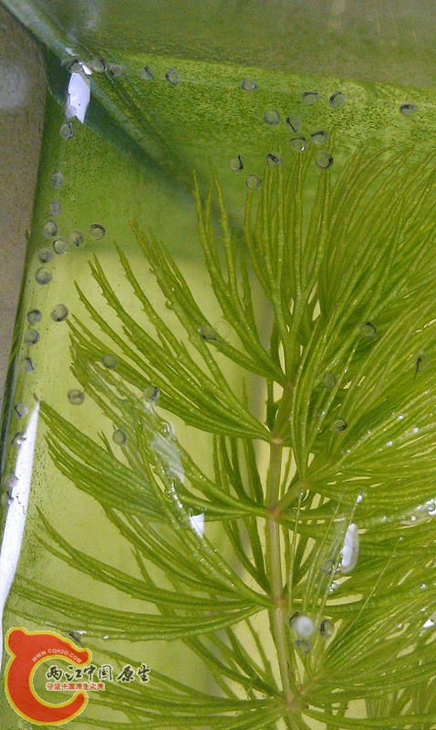 IMAG0578_副本.jpg