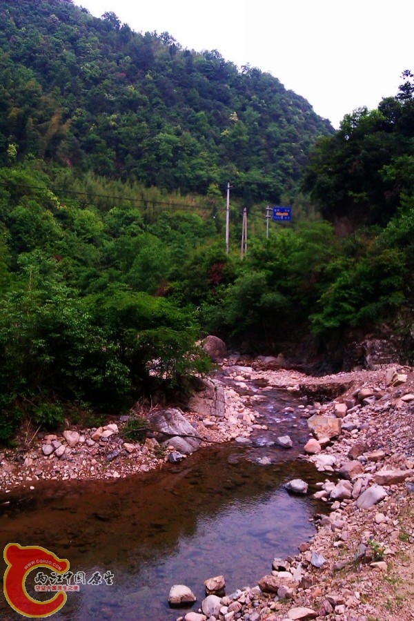 conew_小溪2.jpg