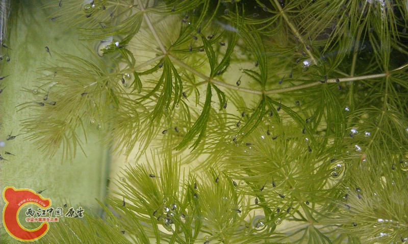 IMAG0587_副本.jpg