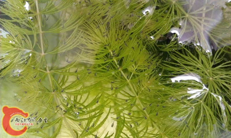 IMAG0588_副本.jpg