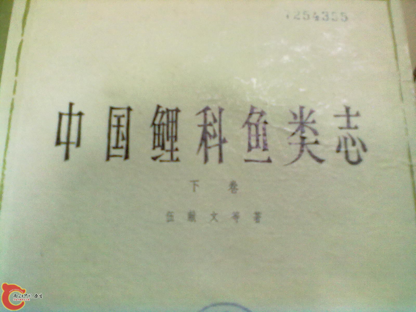 201305052273.jpg