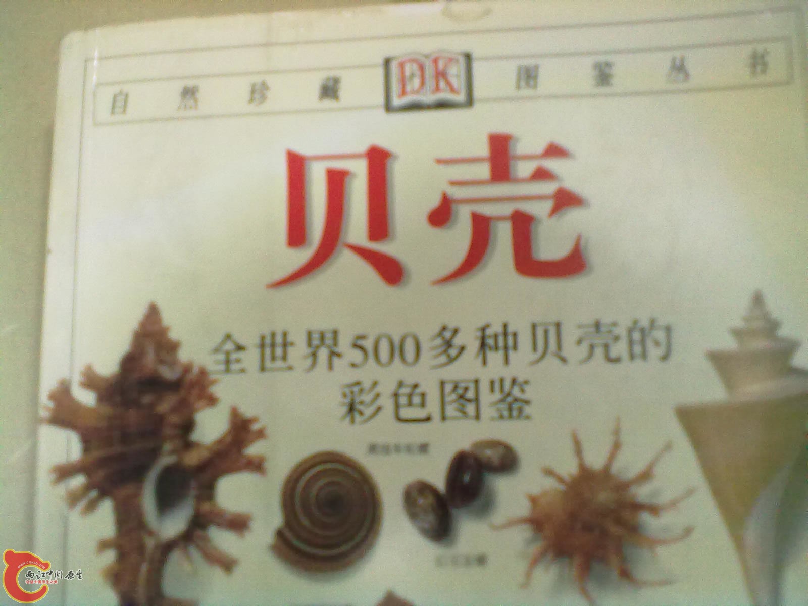 201305052275.jpg