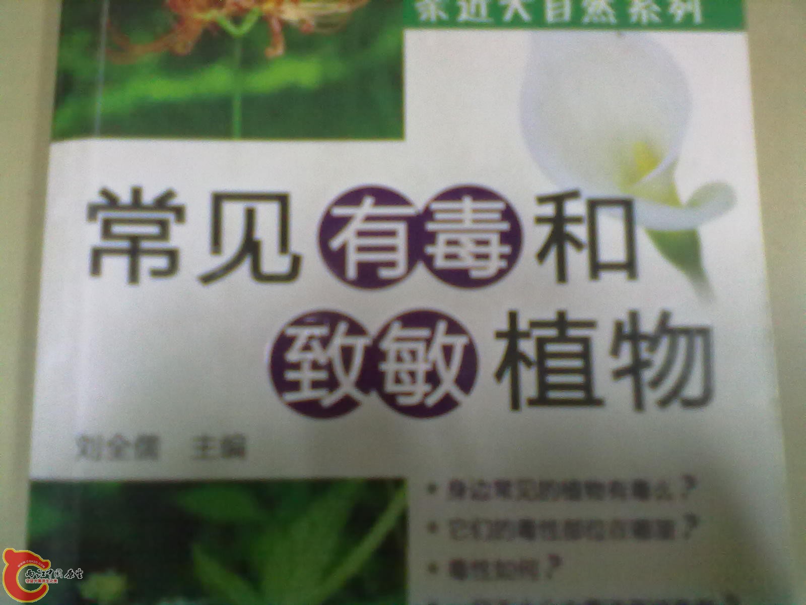 201305052277.jpg