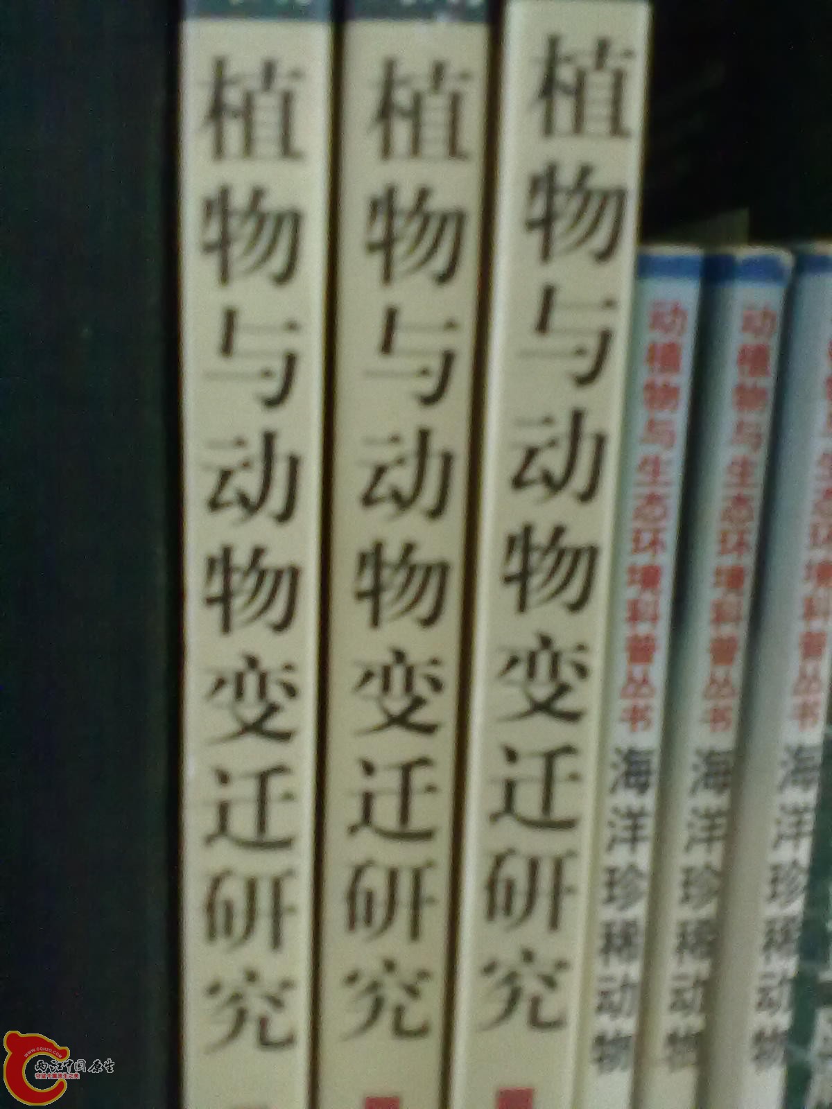 201305052279.jpg