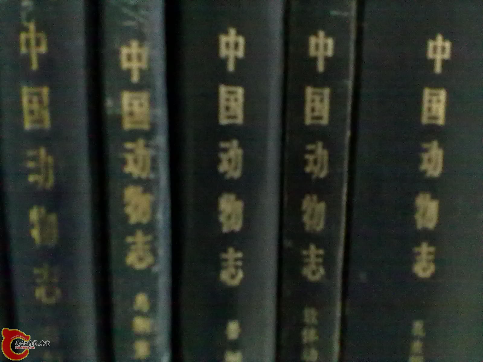 201305052280.jpg