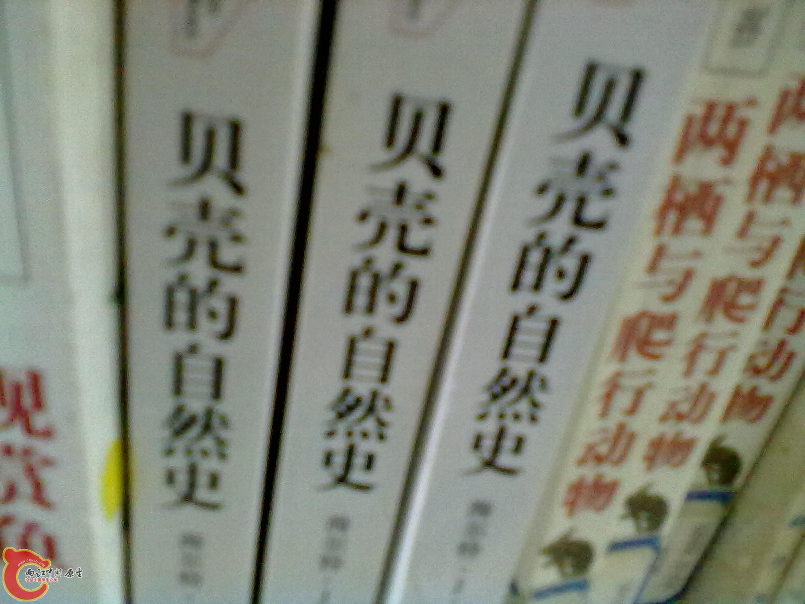 201305052281.jpg