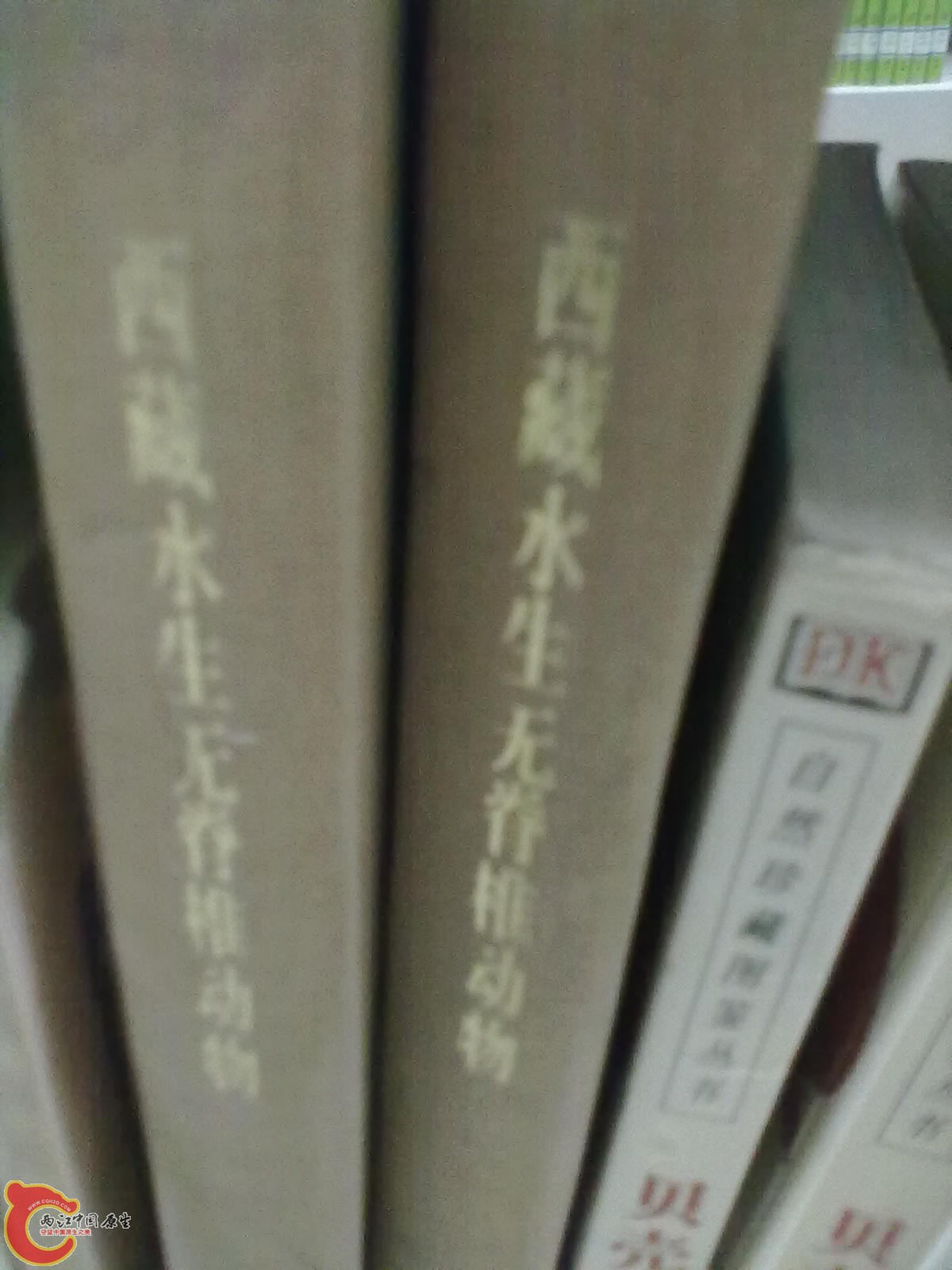 201305052282.jpg