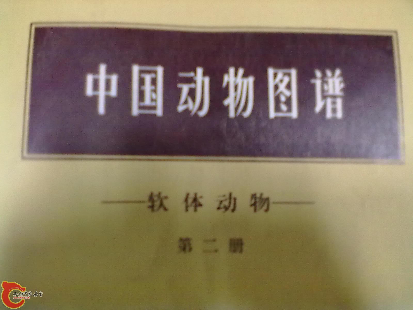 201305052283.jpg