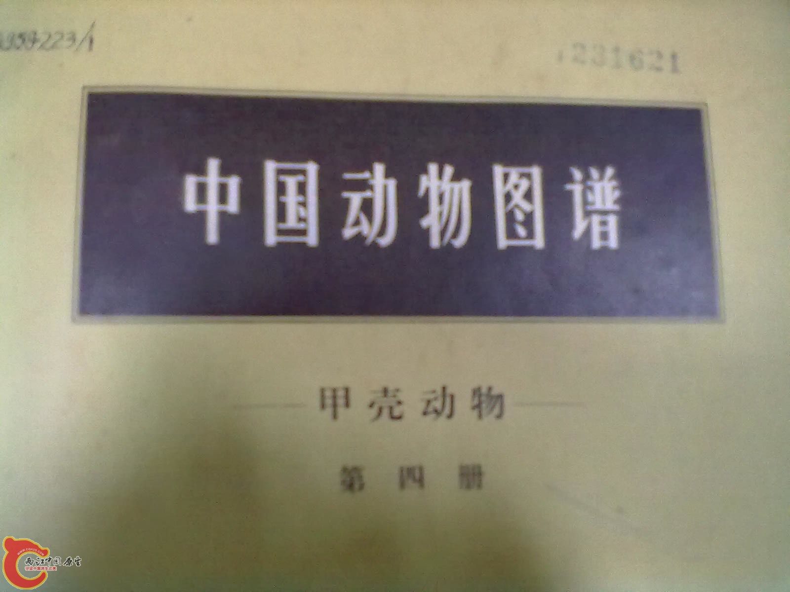 201305052284.jpg
