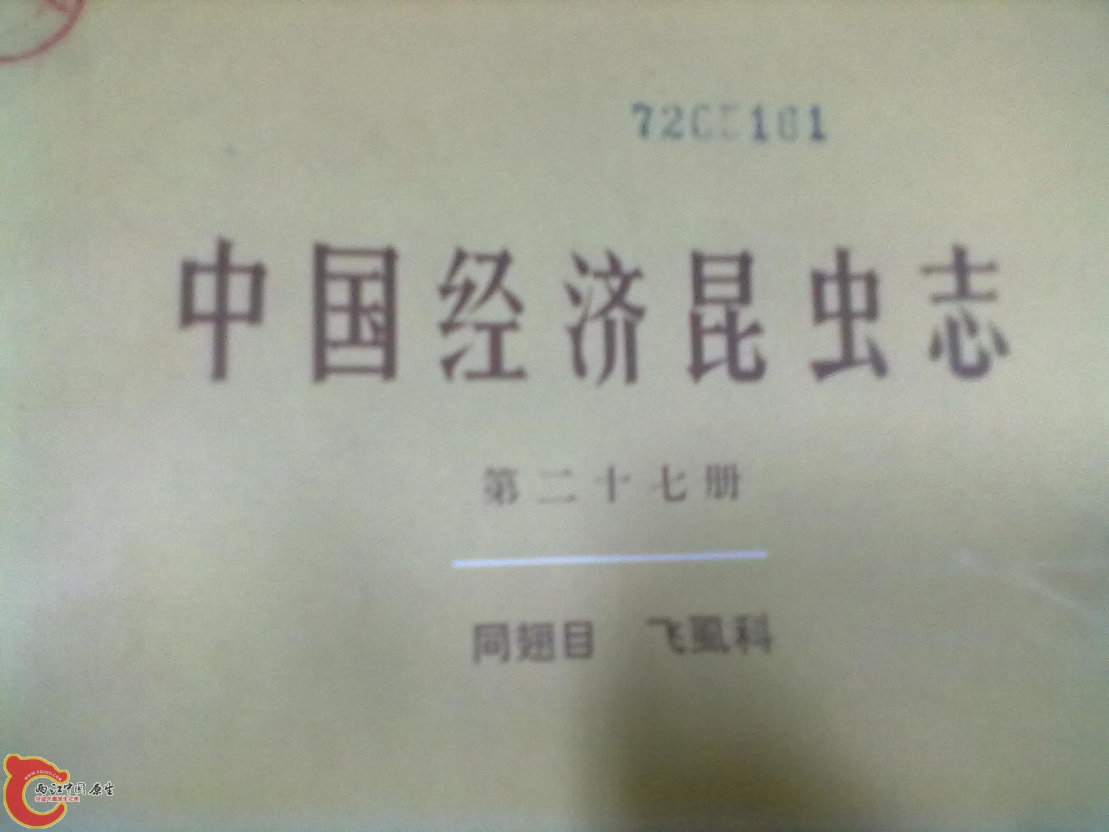 201305052285.jpg