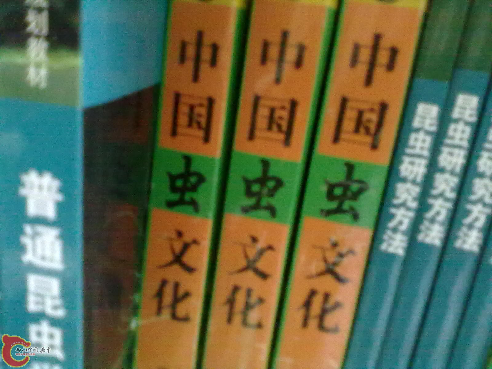 201305052287.jpg