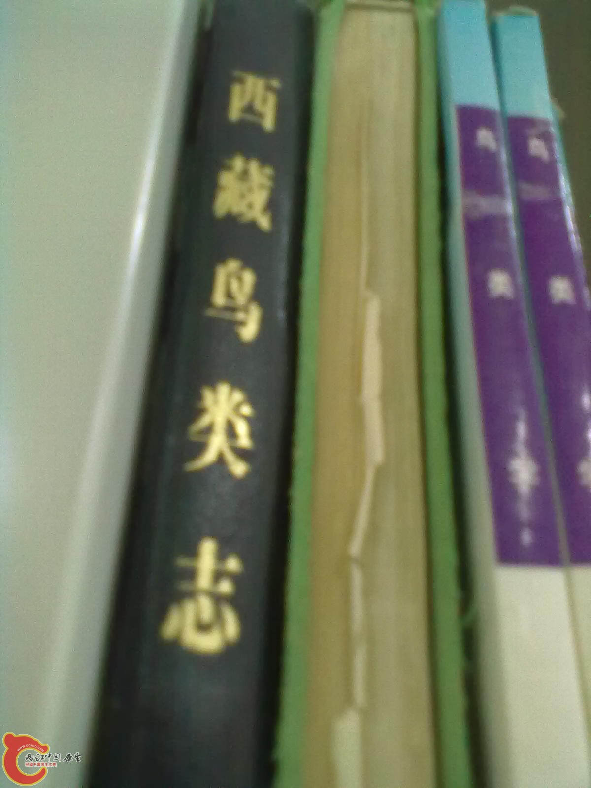 201305052288.jpg