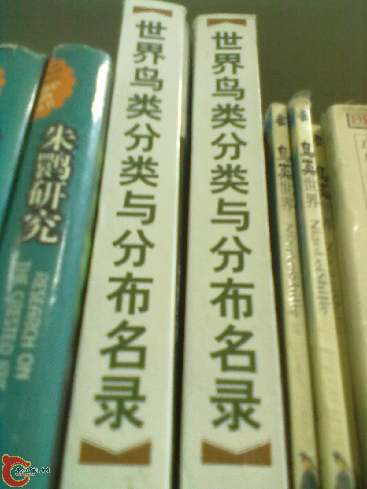 201305052289.jpg