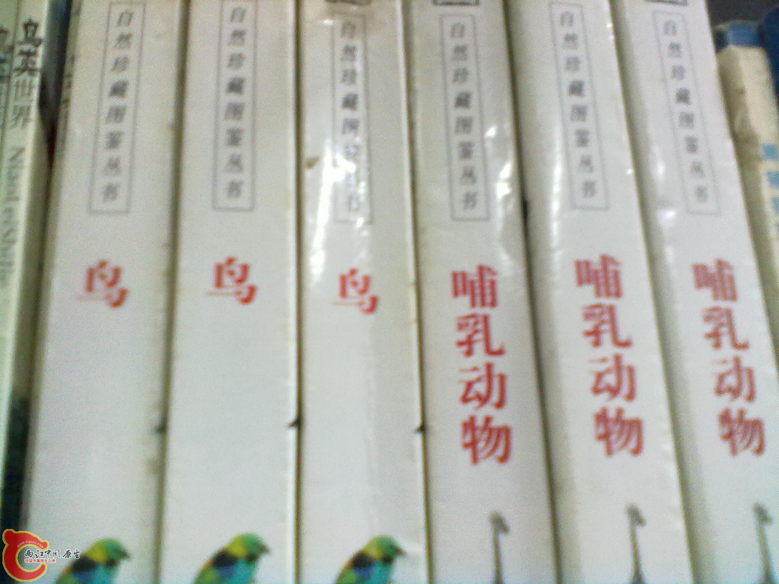201305052290.jpg