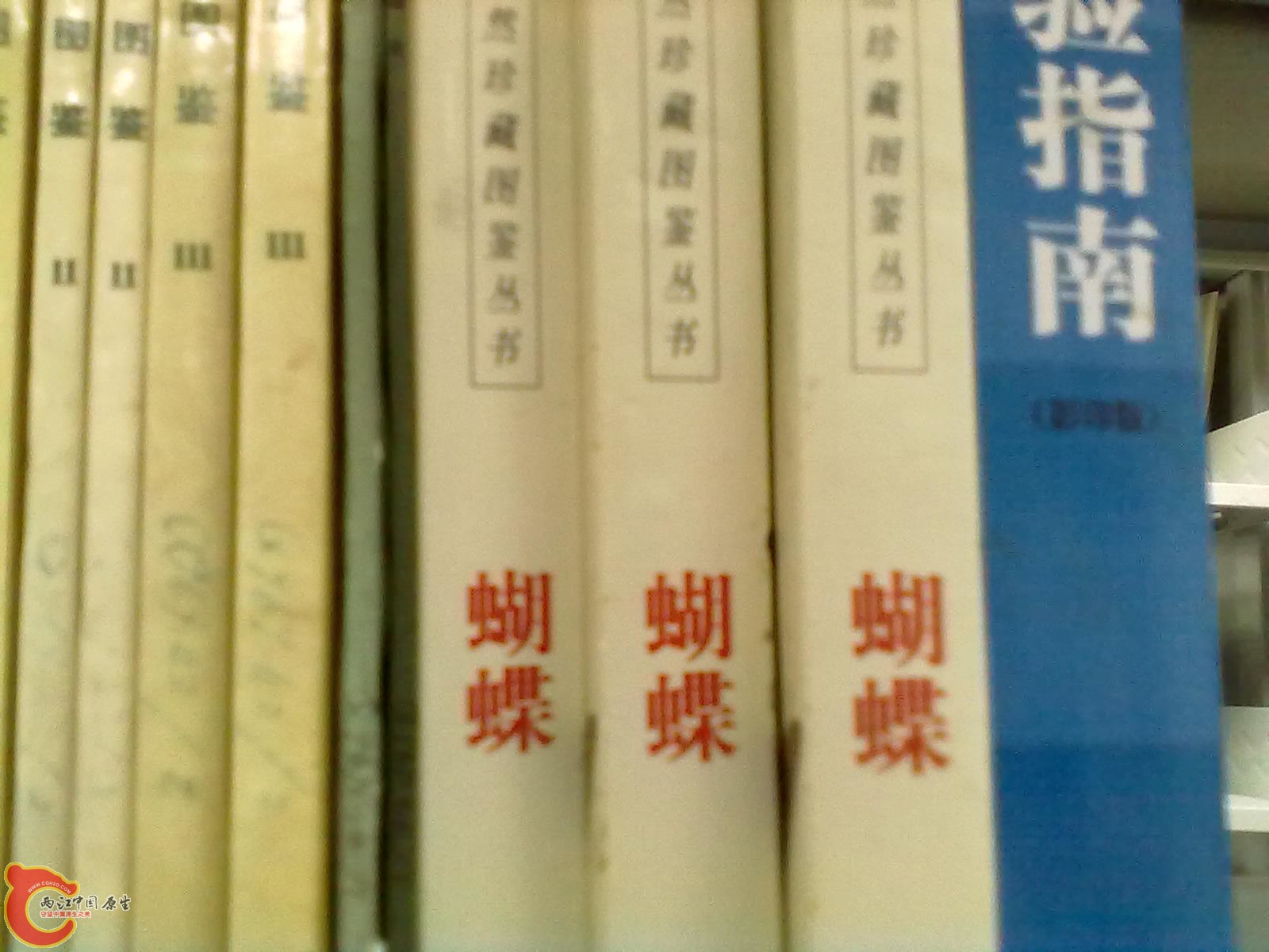 201305052291.jpg