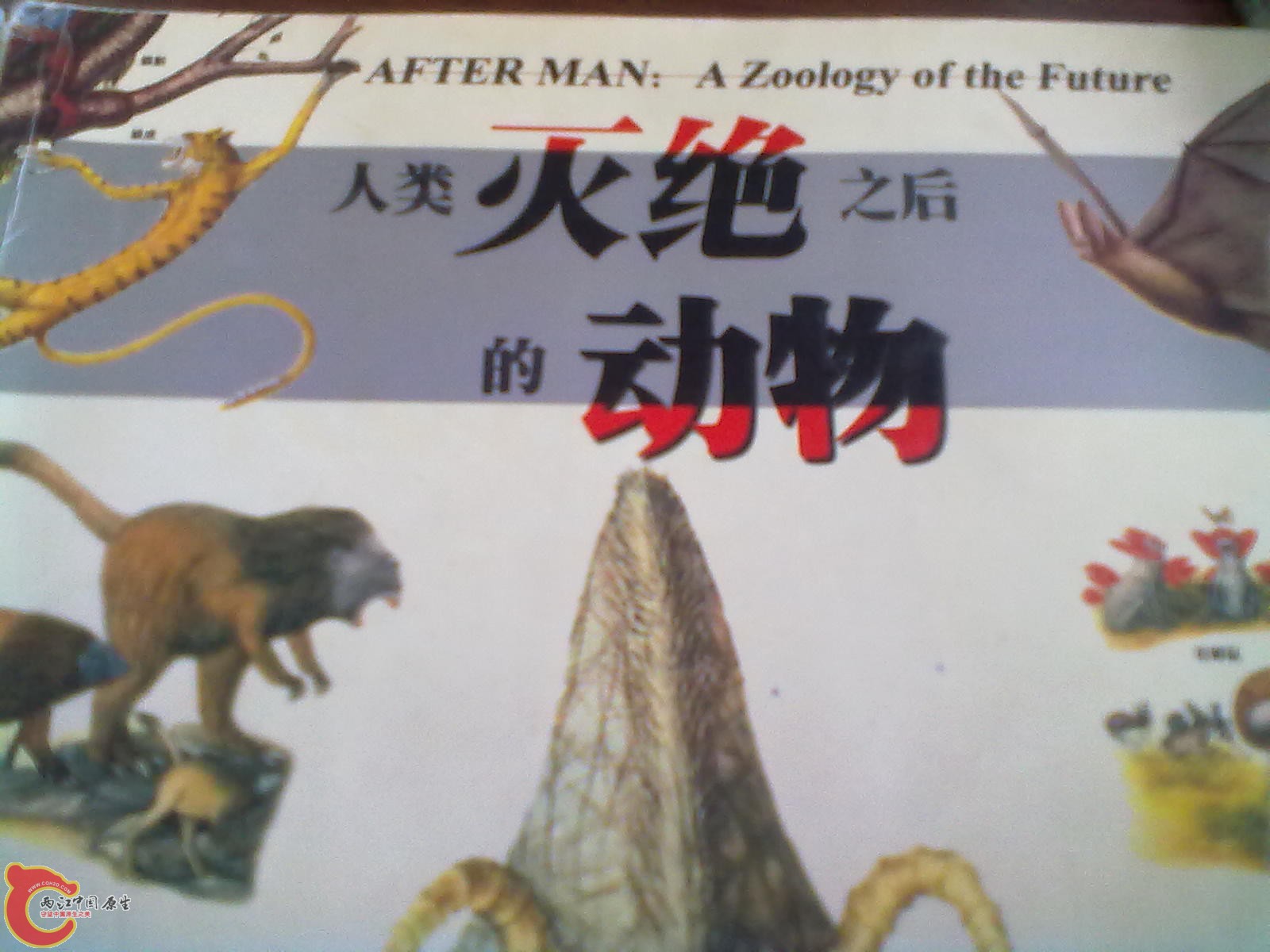201305052295.jpg