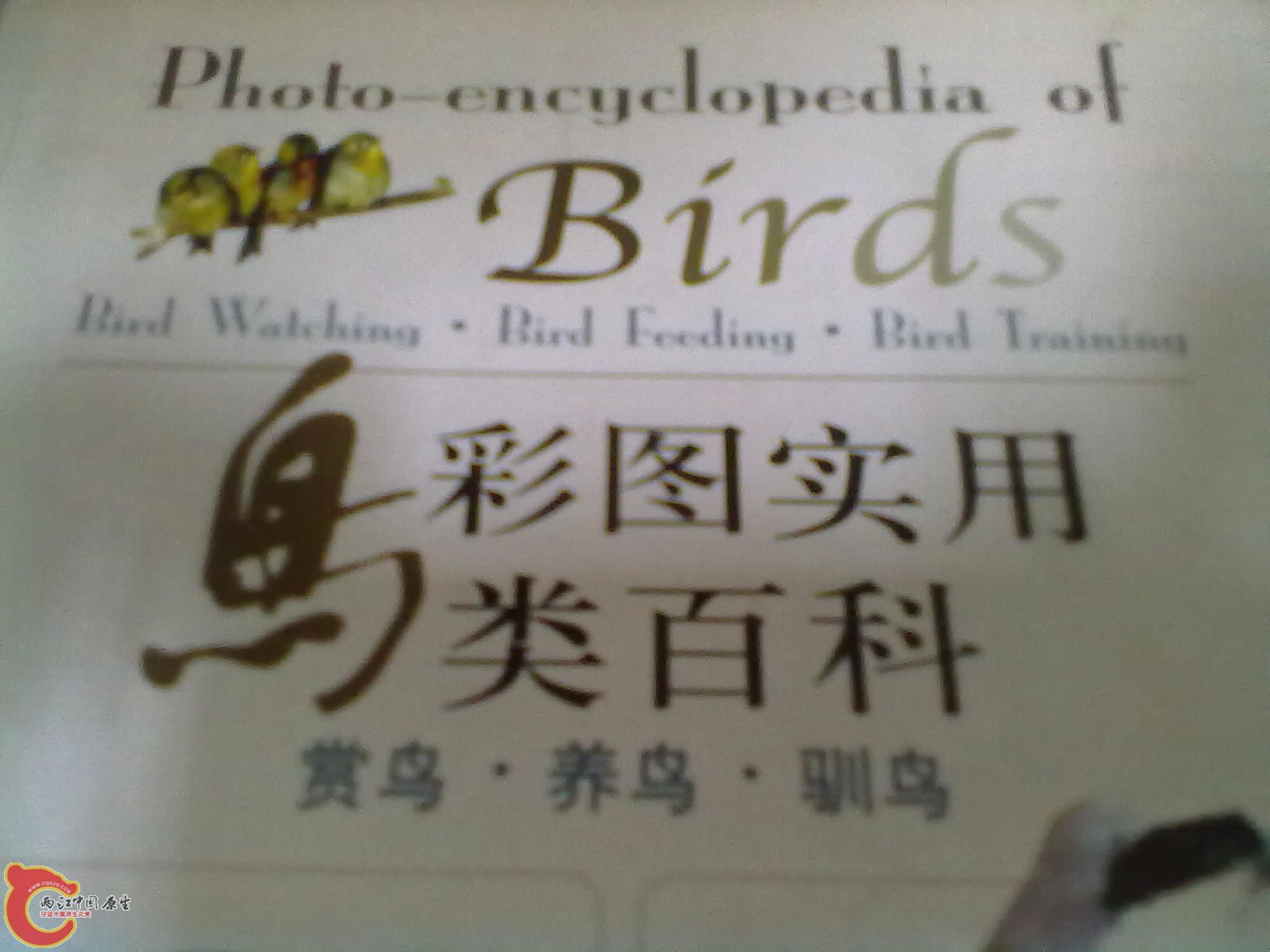 201305052298.jpg