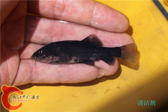 照片 047.jpg