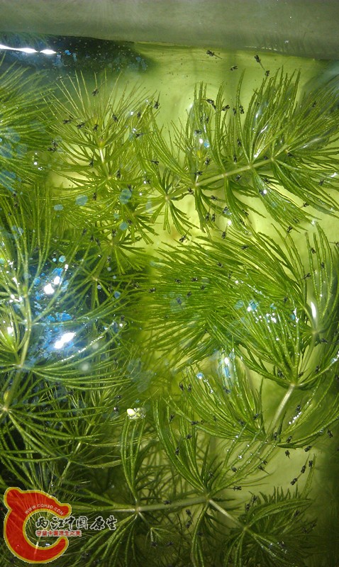 IMAG0597_副本.jpg