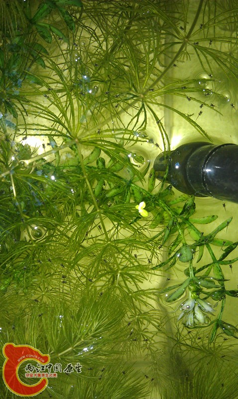 IMAG0598_副本.jpg