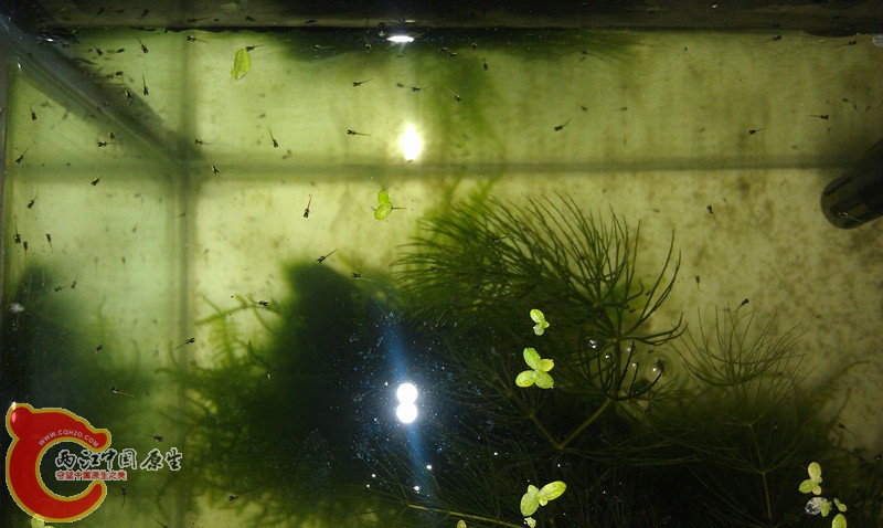 IMAG0610_副本.jpg
