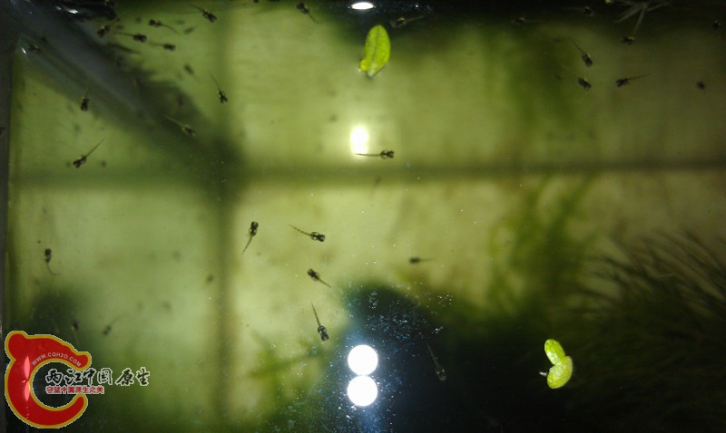IMAG0607_副本.jpg